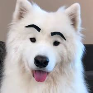 Arcamiel