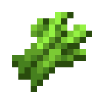 illusion_