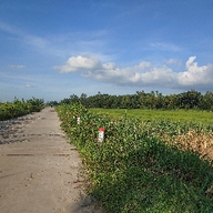 VipLeak