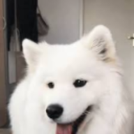 nuengkubza