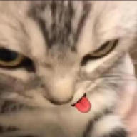 elyaelxd