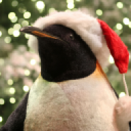 pengu
