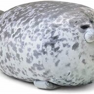 Kquna0019