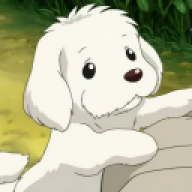 doggydodogy