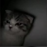 azadxdev