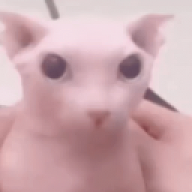 lalakaka