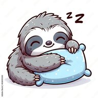 slothinacloth