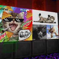 dewdwqdw