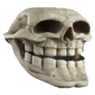 agvoid