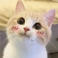 NotOggyYT