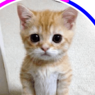 susssybaka123