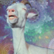 spacegoat