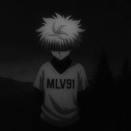 im_MLV91