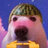 infbitdev