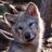 Stellupine
