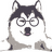 ItzSaf