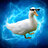 Patto428