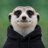 xBiscuitCode