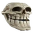 agvoid