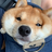 kingdot