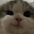itsvoid