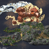 Eleria | 3000x1500 | MMORPG