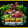 Premium Skyblock Setup | NitroSetups