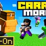 Carry More Add-On