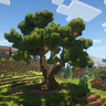 Large Oak Tree Schematic