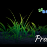 Pratum - 30 Stylized Grasses