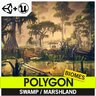 POLYGON - Swamp Marshland - Nature Biome